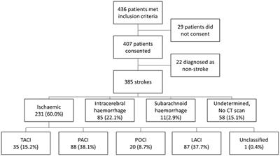 A Prospective Stroke Register in Sierra Leone: Demographics, Stroke Type, Stroke Care and Hospital Outcomes